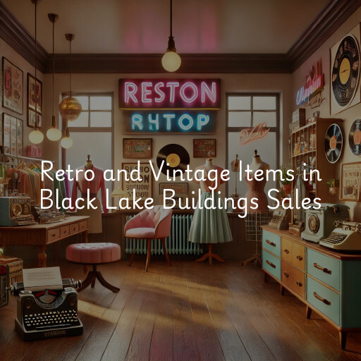 Retro and Vintage Items Black Lake Buildings Sales